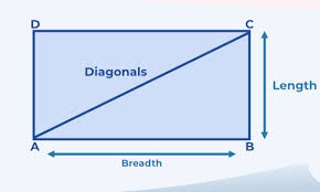rectangle