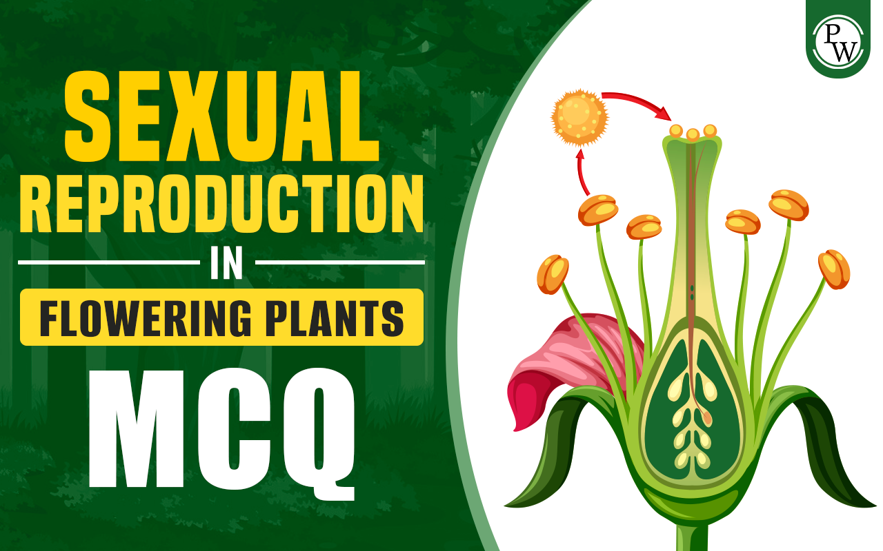 Sexual Reproduction in Flowering Plants MCQ