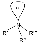Amines 