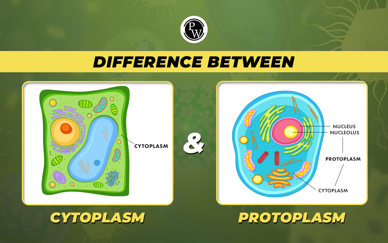Difference Between Cytoplasm and Protoplasm
