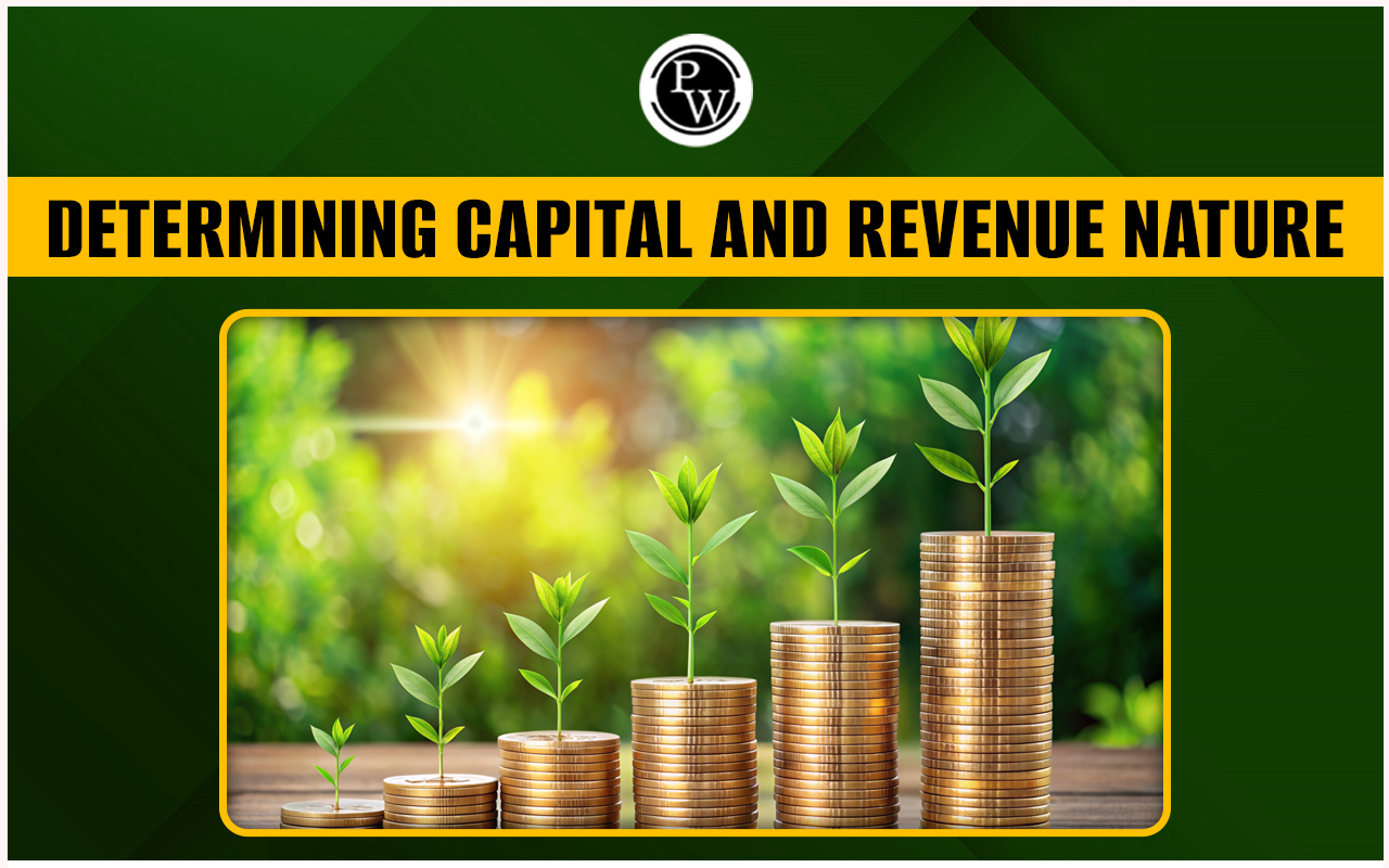 Capital and Revenue Items