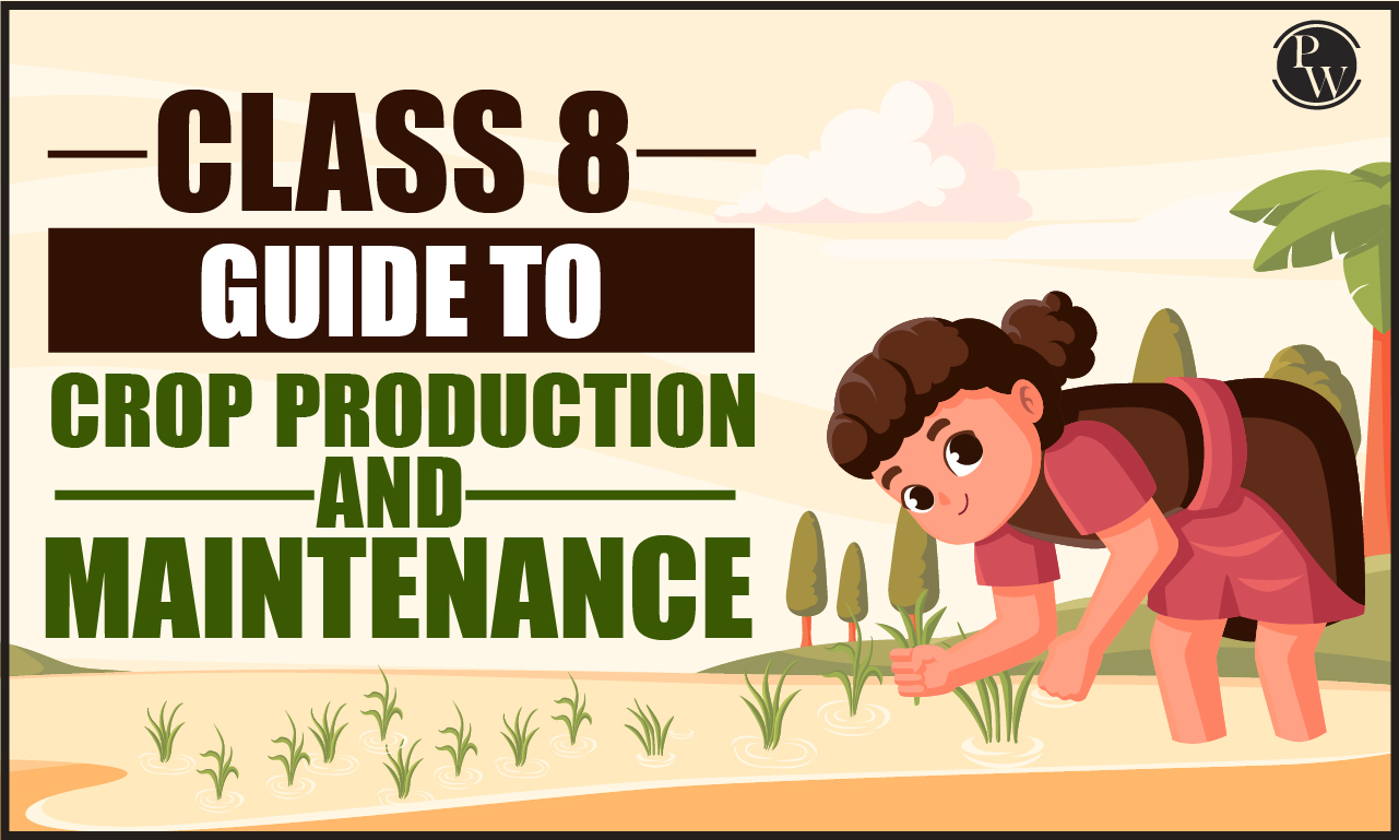 Farming Fundamentals: A Class 8 Guide to Crop Production and Maintenance