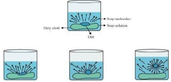 Soaps And Detergents