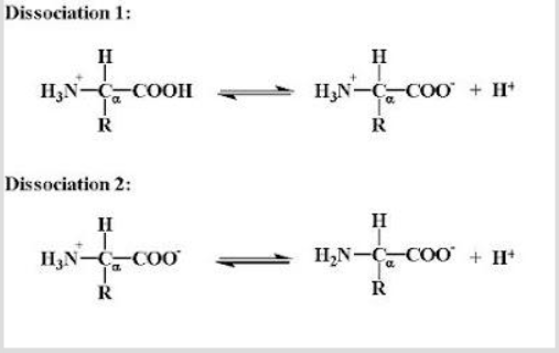 Ionization of a diprotic amino acid