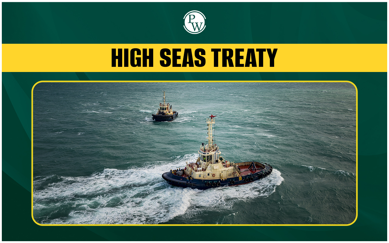 High Seas Treaty
