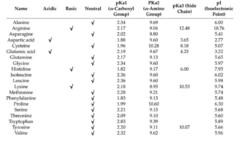 Amino Acid Classification