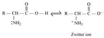 NCERT Solutions for Class 12  Chemistry Chapter 14 - Biomolecules