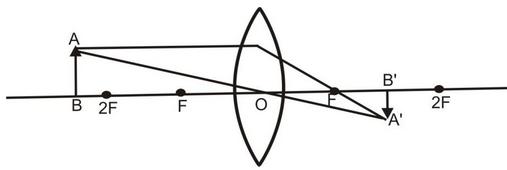 159.jpg