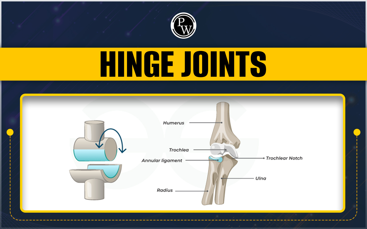 Hinge Joints