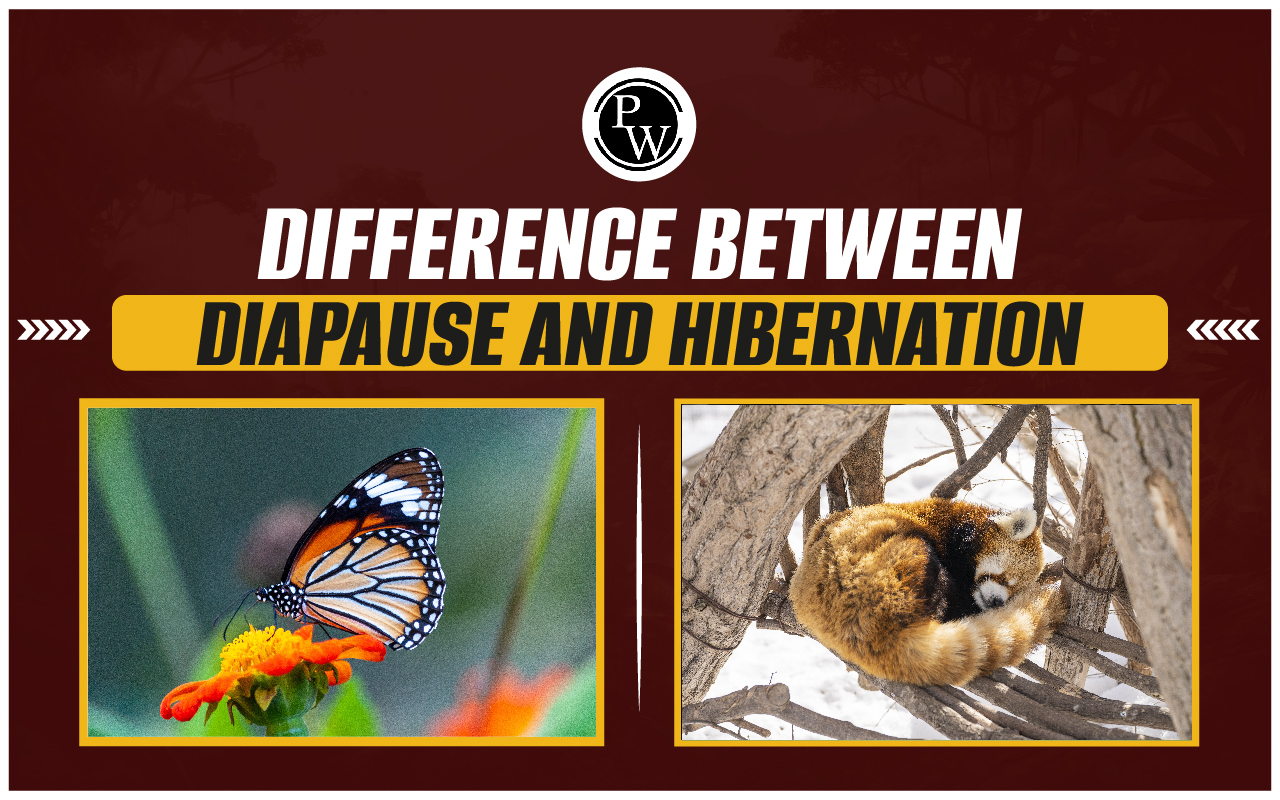 Difference Between Diapause And Hibernation