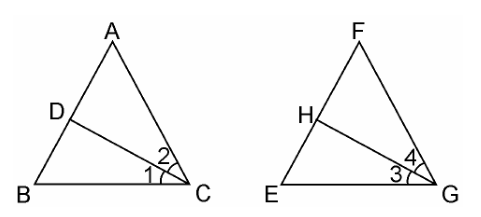 ncert solutions class 10 chapter 6 Ncert solutions class 10 chapter 6-20