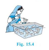 ncert solutions class 10 chapter 15-1 Ncert solutions class 10 chapter 15-1