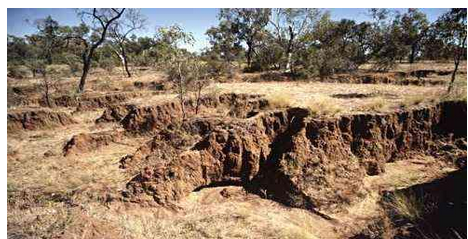 Classification Of Soil