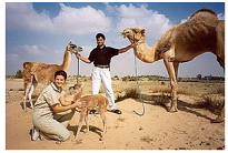 camel