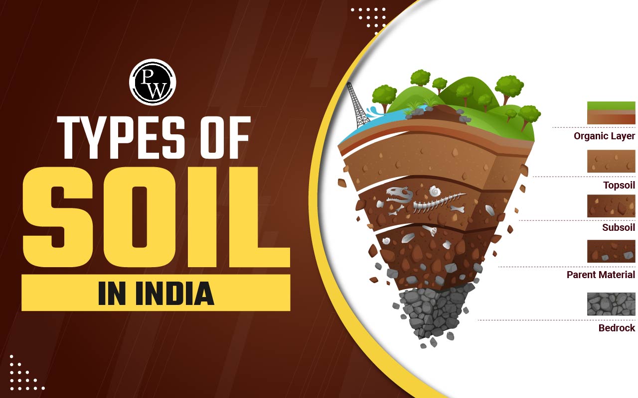 Types of Soil in India