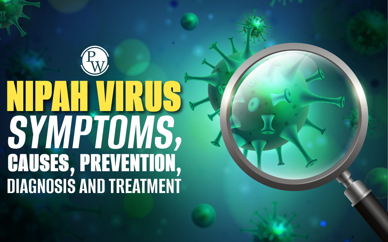 Nipah Virus