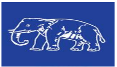 National Political Parties