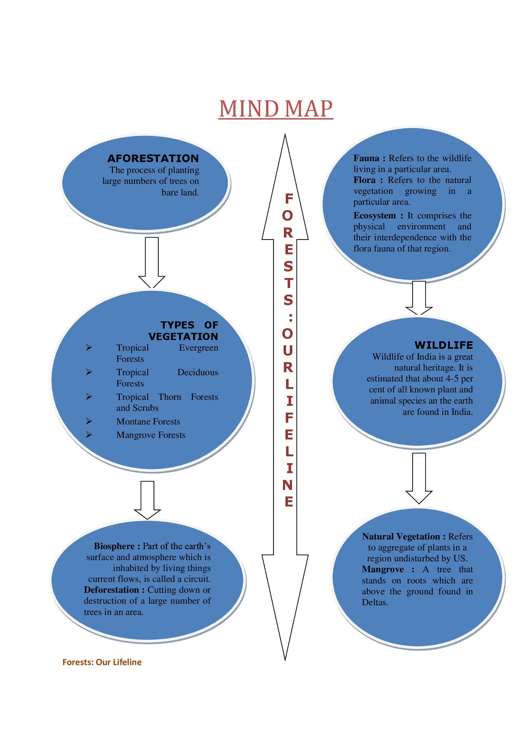 forests mind map