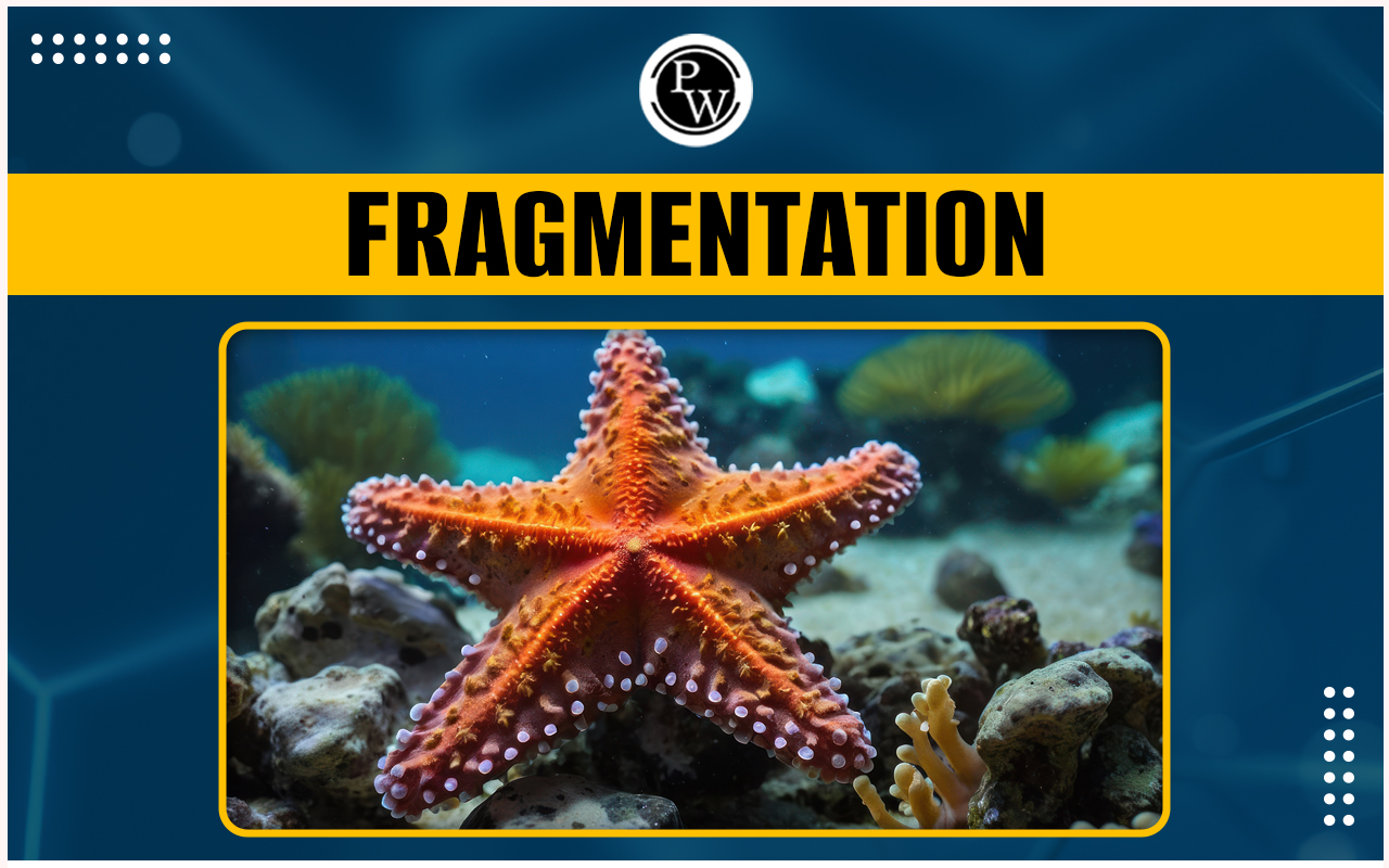 Fragmentation