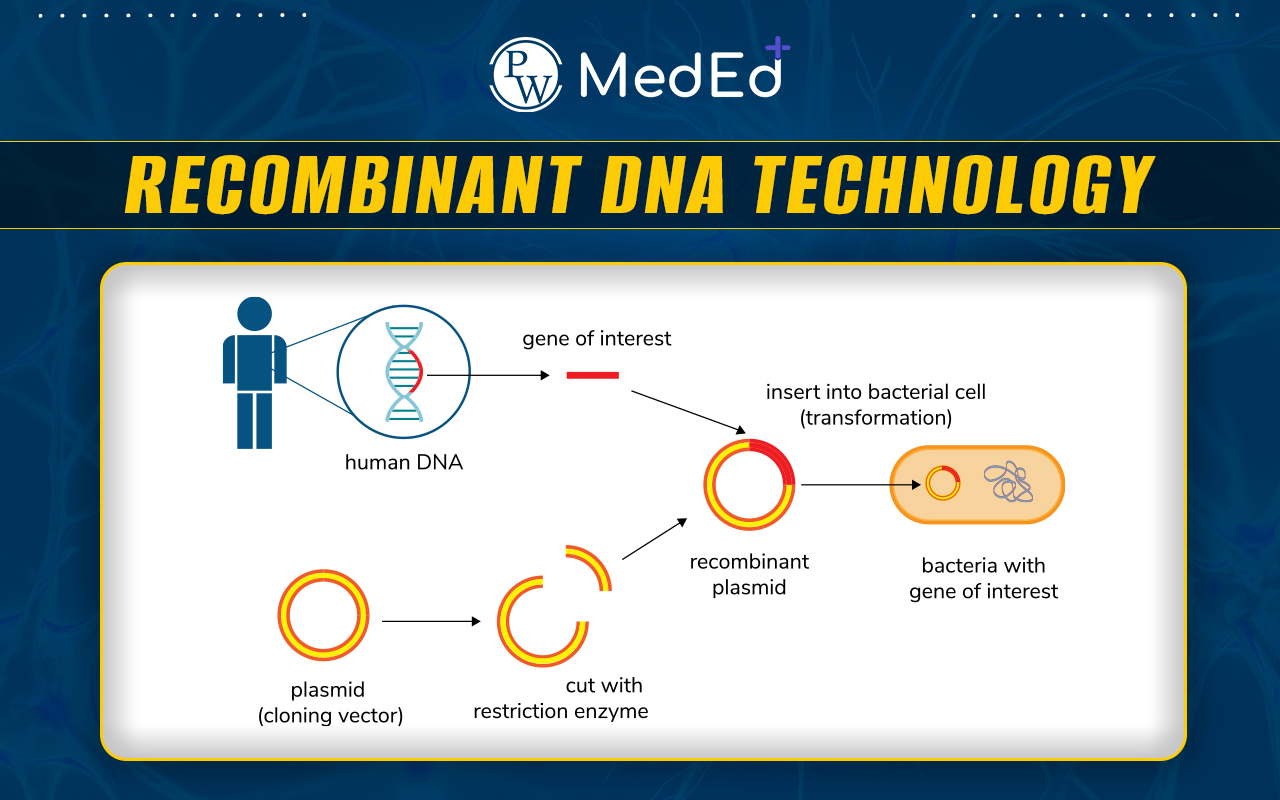 Recombinant DNA Technology