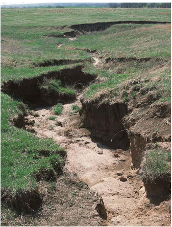 Classification Of Soil