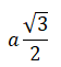  regular tetrahedron 