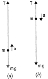 NCERT Solutions for Class 11  Physics Chapter 5 - Laws Of Motion