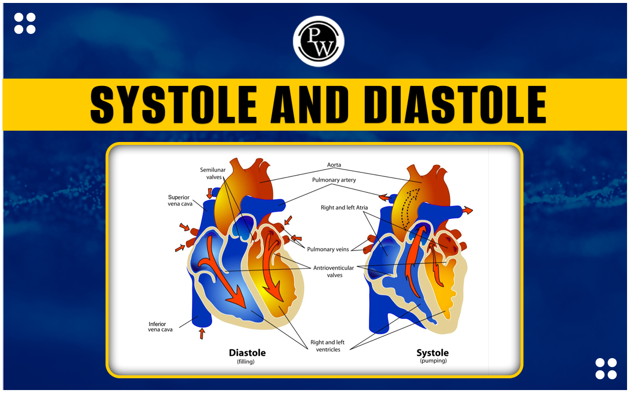Systole and Diastole