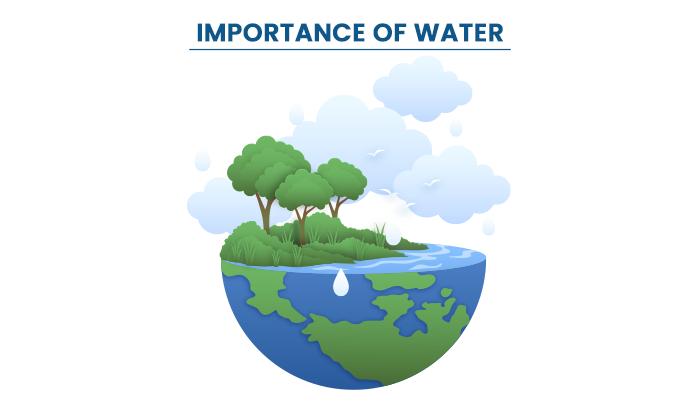 Chemistry Articles Importance of water