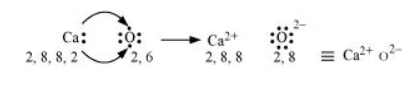 NCERT Solutions for Class 11 Science Chemistry Chapter 4