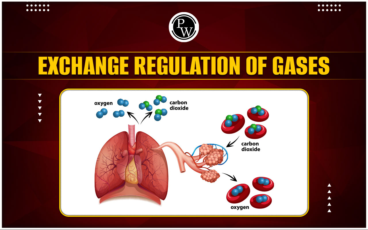 Exchange Regulation Of Gases