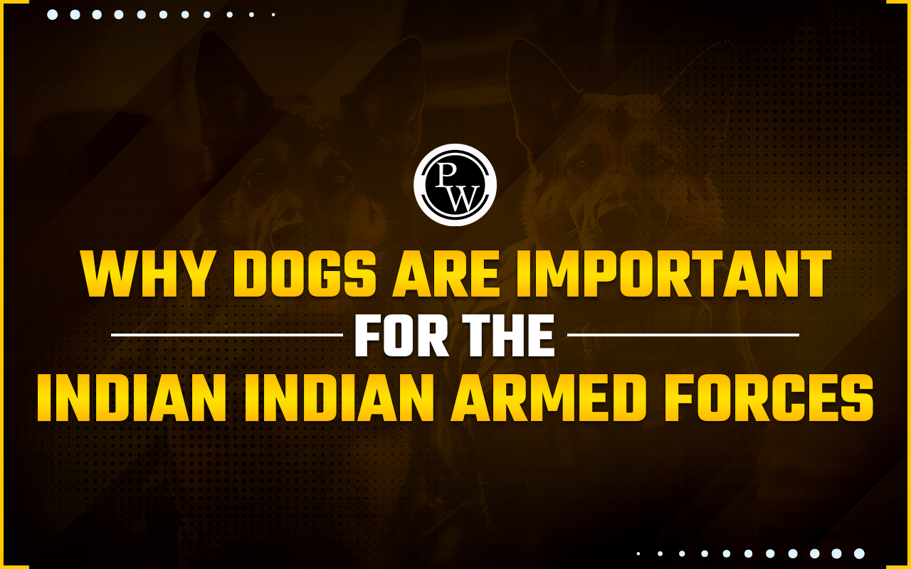 Why Dogs are Important for the Indian Armed Forces