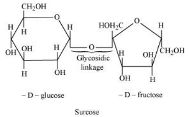 NCERT Solutions for Class 12  Chemistry Chapter 14 - Biomolecules