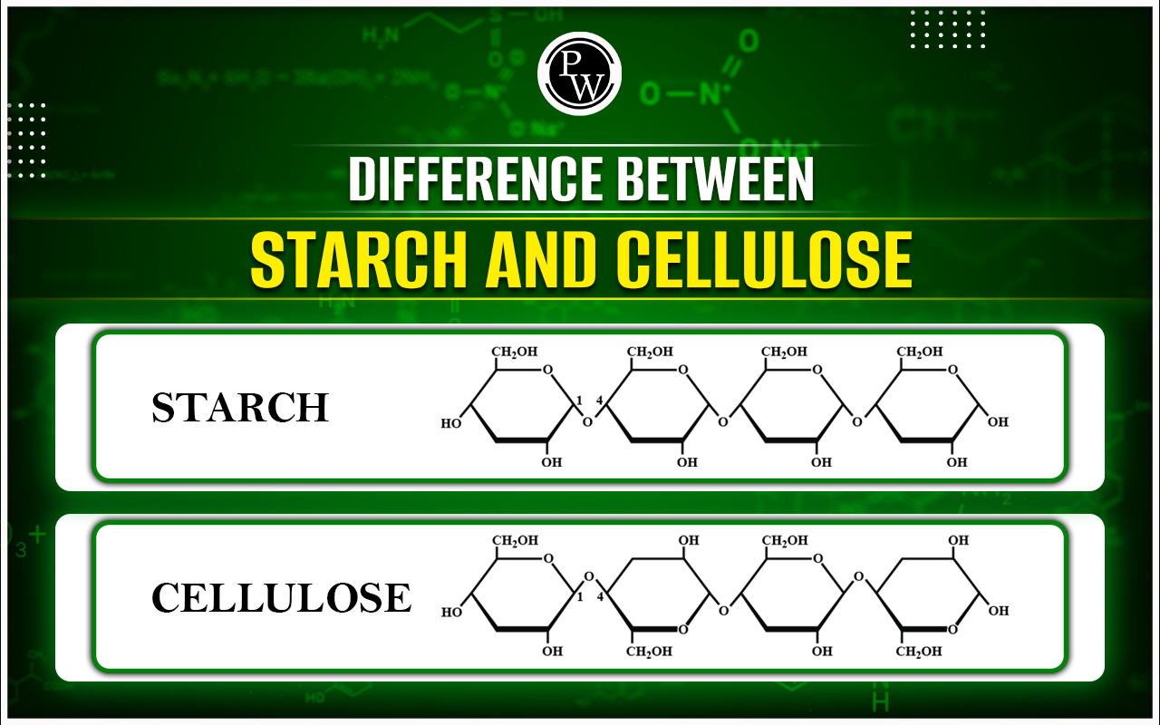 Difference Between Starch And Cellulose