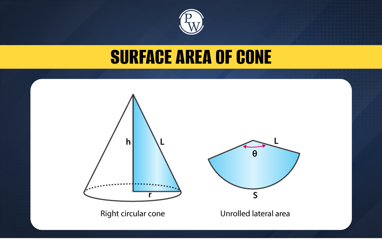 Surface Area of Cone