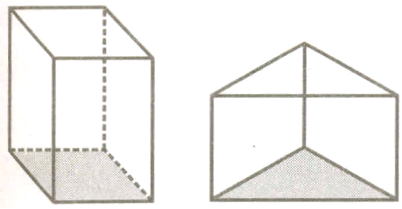 POLYHEDRONS AND NON-POLYHEDRONS