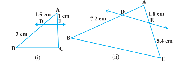 ncert solutions class 10 chapter 6 Ncert solutions class 10 chapter 6-4