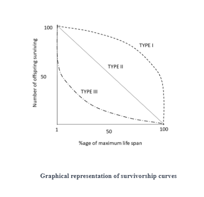 Survivorship Curves and r/k Selection