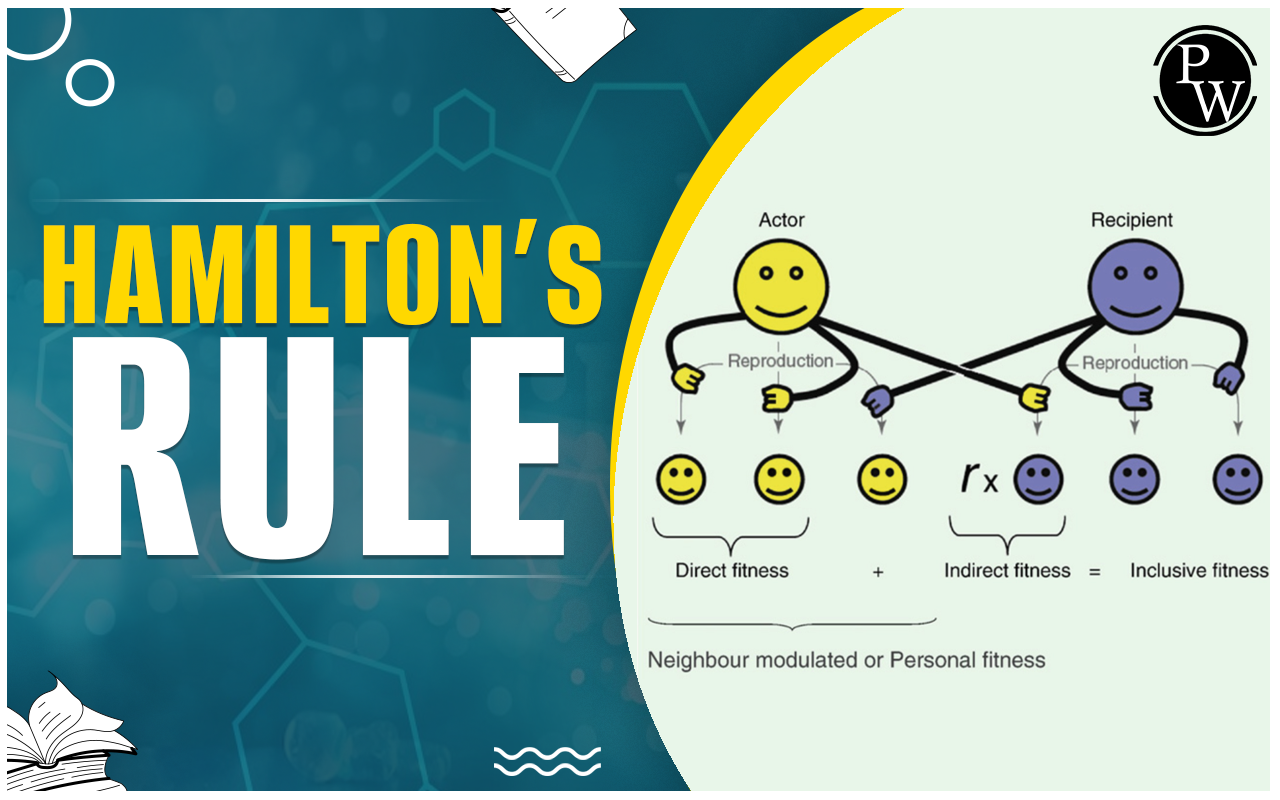 Hamilton's Rule