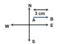 Vector