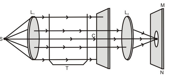 136.jpg