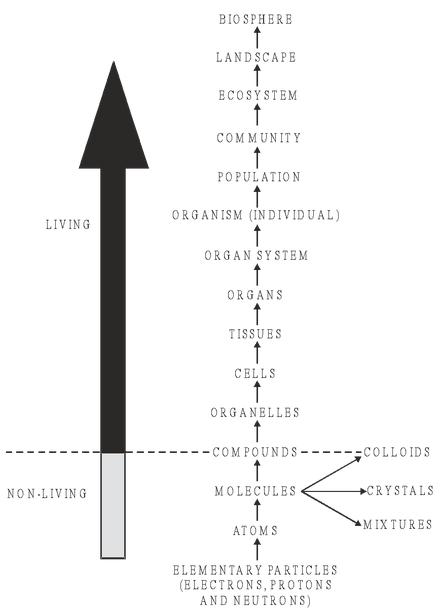 Organisms And Their Environment 
