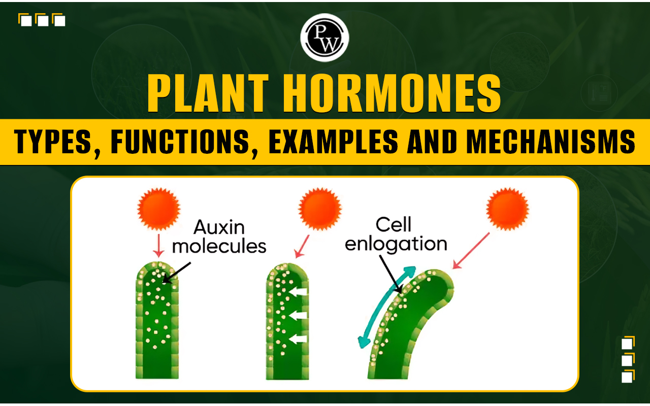 Plant Hormones