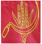 National Political Parties