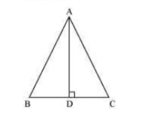 NCERT Solutions for Class 7 Maths The Triangle and Its Properties Exercise 6.1