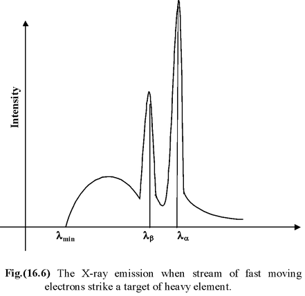 X – Rays
