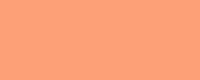 Light Salmon Colour Image
