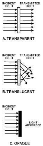 Light 