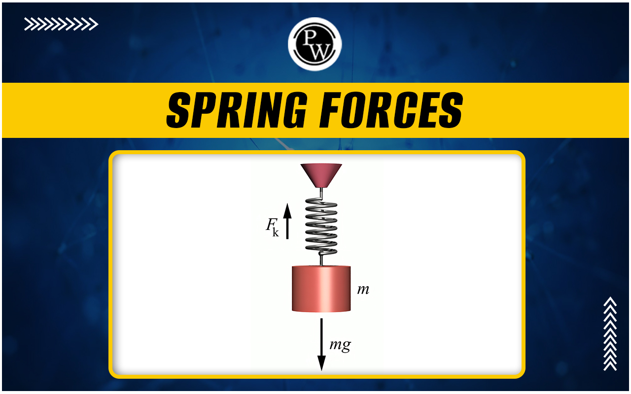 Spring Forces