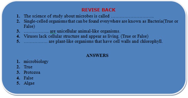 micro organism revision